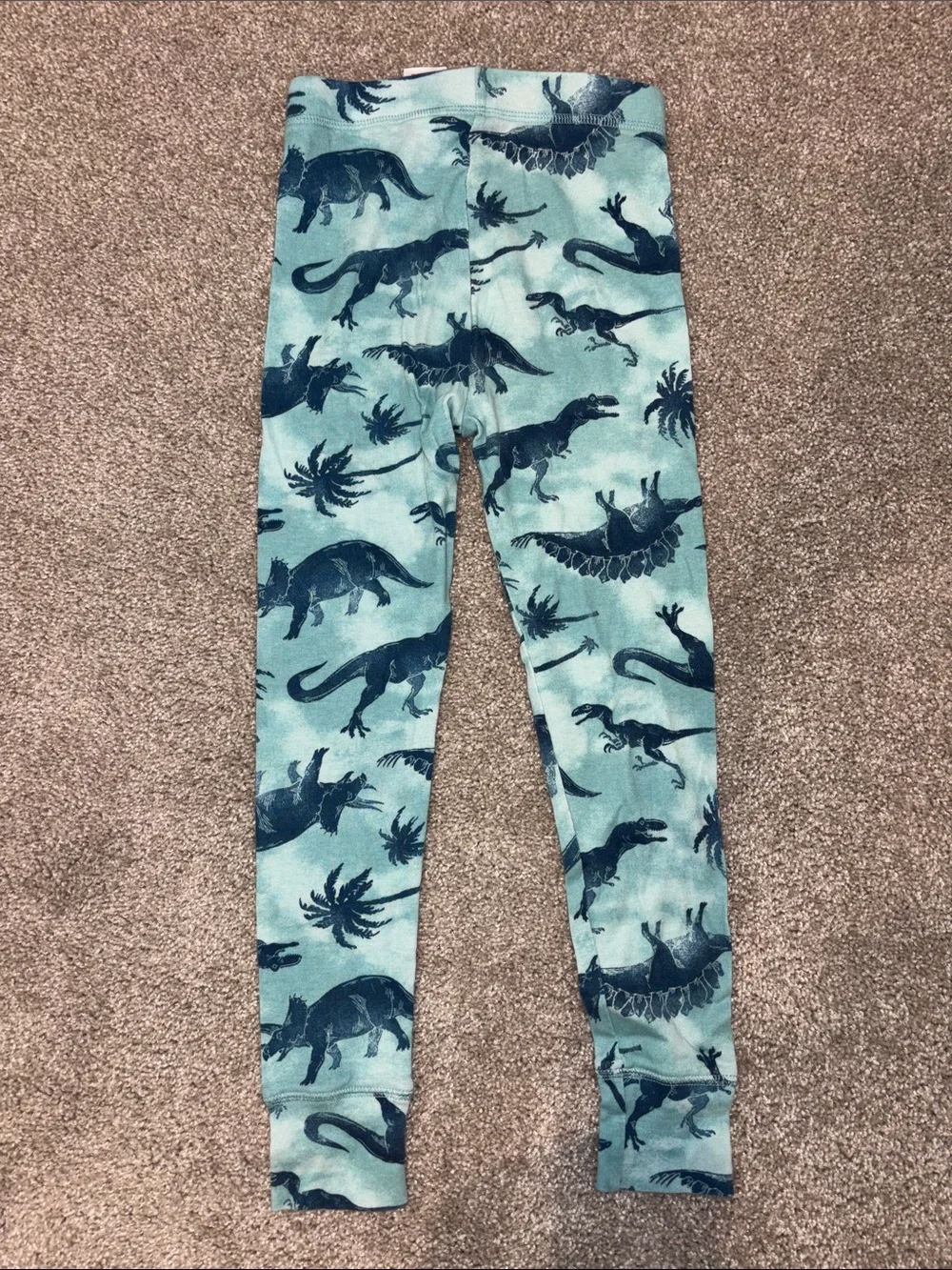 GAP Organize Teal and Navy Dinosaur Print Pajama Set